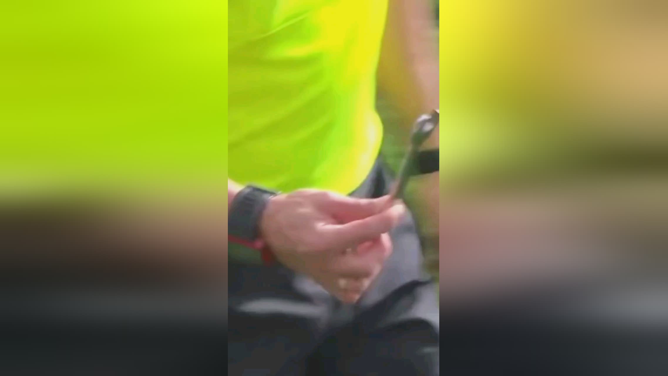 的精